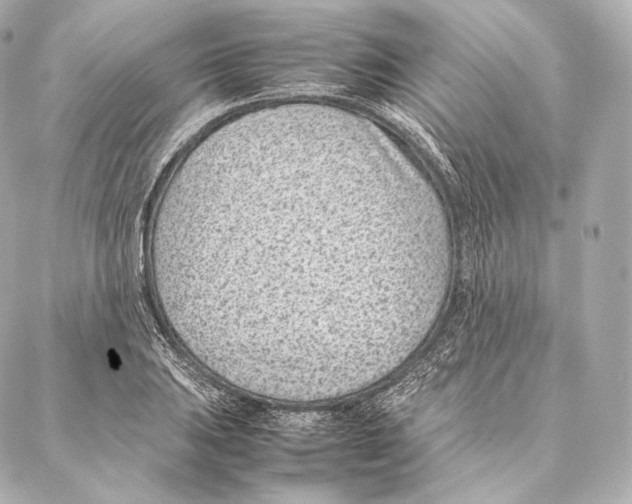 X0000086971031200705141646