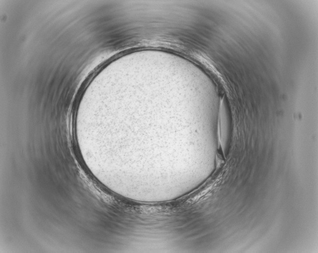 X0000086971032200705141646