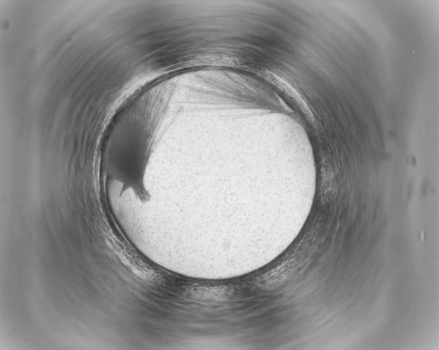 X0000086971035200705141646