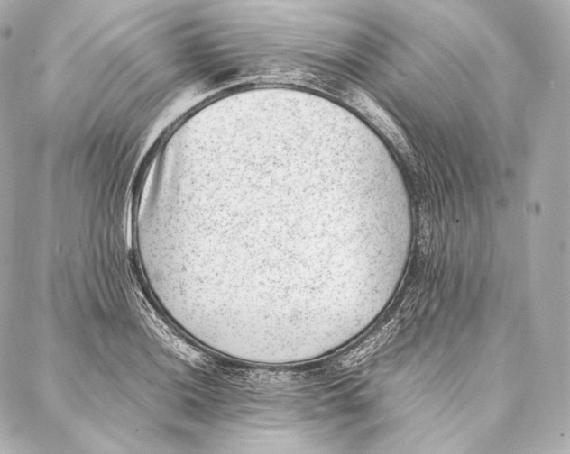 X0000086971036200705141646