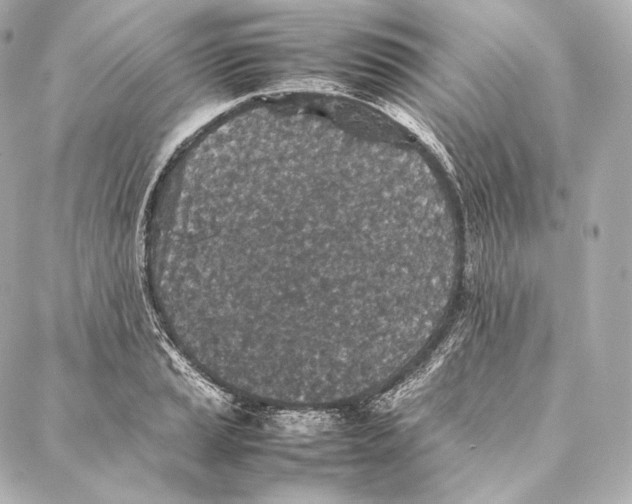 X0000086971037200705141646