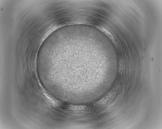 X0000086971039200705141646