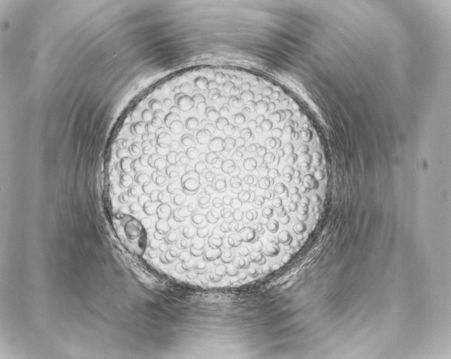 X0000086971040200705141646