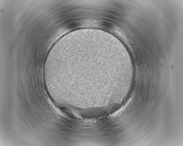 X0000086971041200705141646