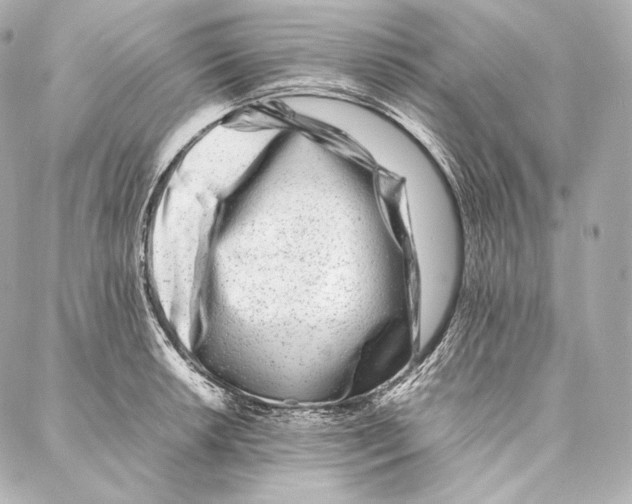 X0000086971042200705141646