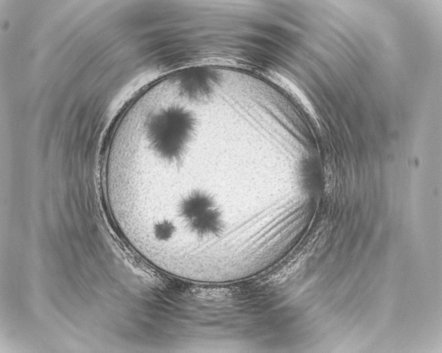 X0000086971043200705141646