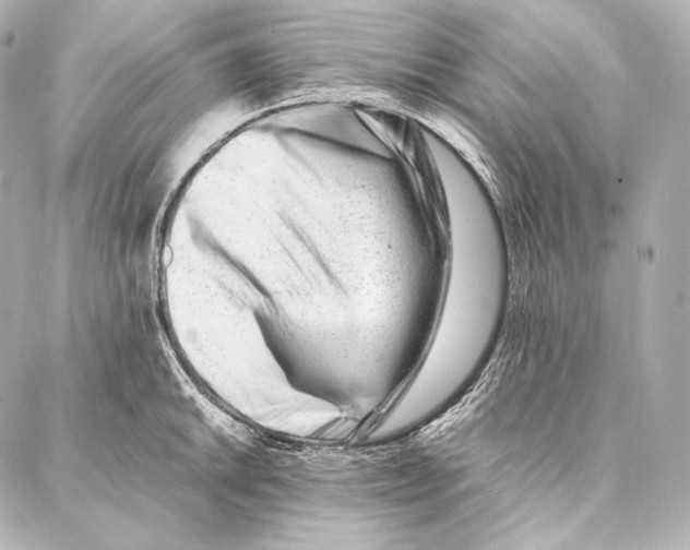 X0000086971046200705141646