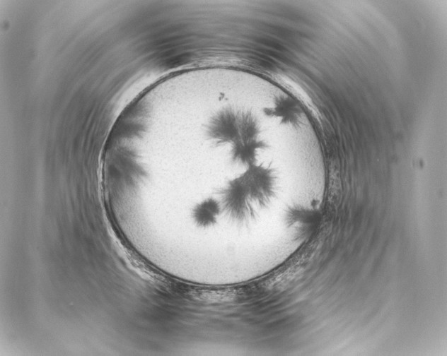 X0000086971047200705141646