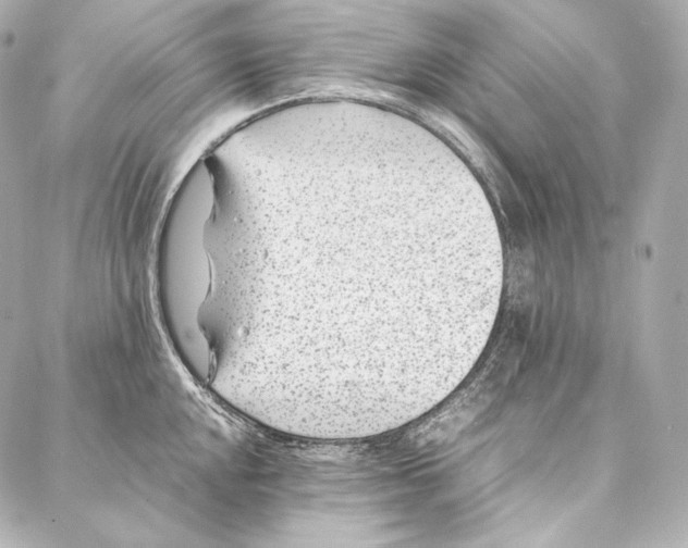 X0000086971048200705141646