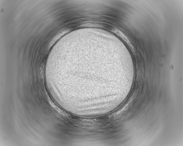 X0000086971049200705141646