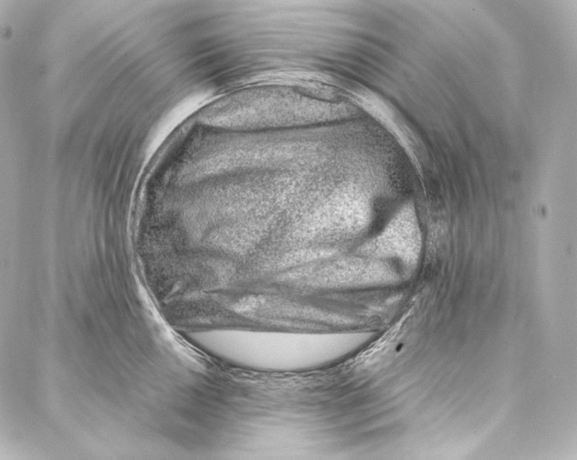 X0000086971050200705141646