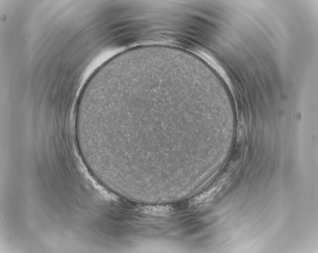 X0000086971053200705141646