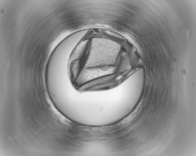 X0000086971054200705141646