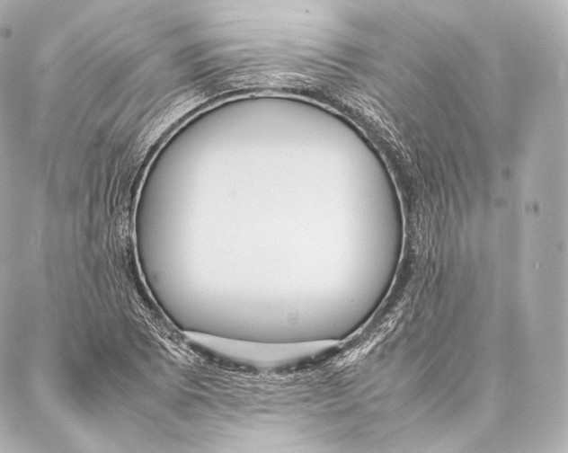 X0000086971073200705141645