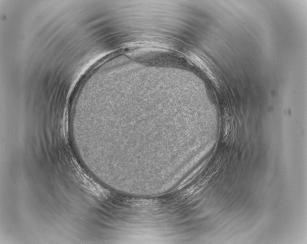 X0000086971076200705141645