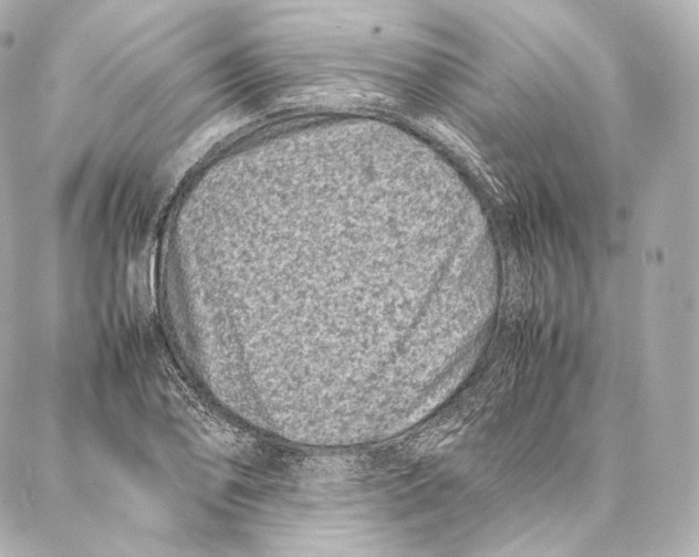 X0000086971078200705141645