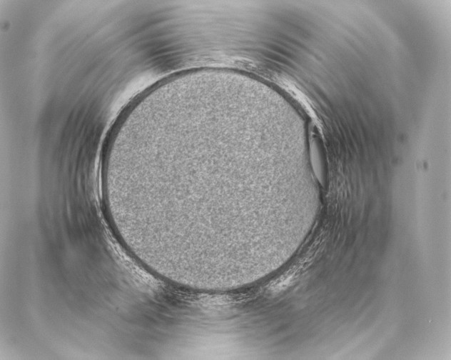 X0000086971080200705141645