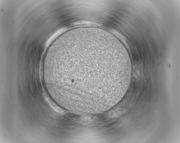 X0000086971098200705141644