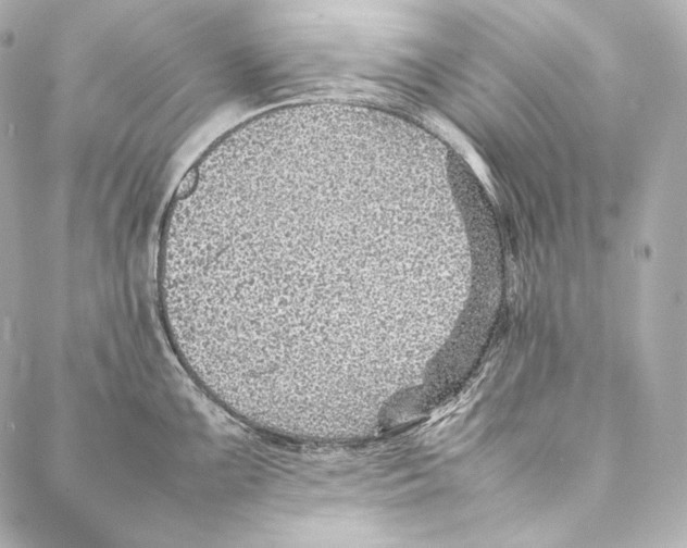 X0000086971099200705141644