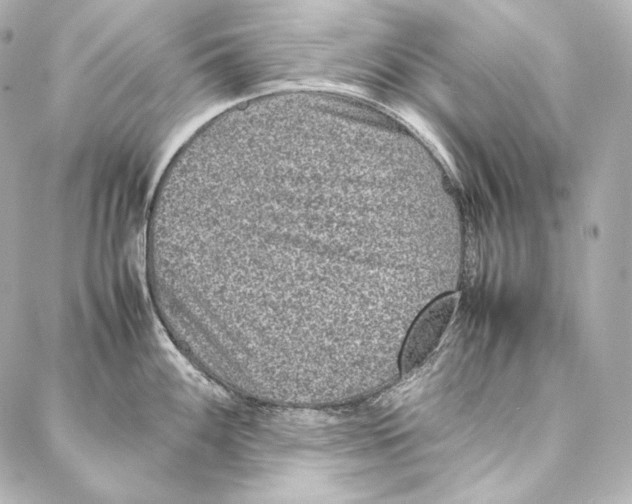 X0000086971100200705141644