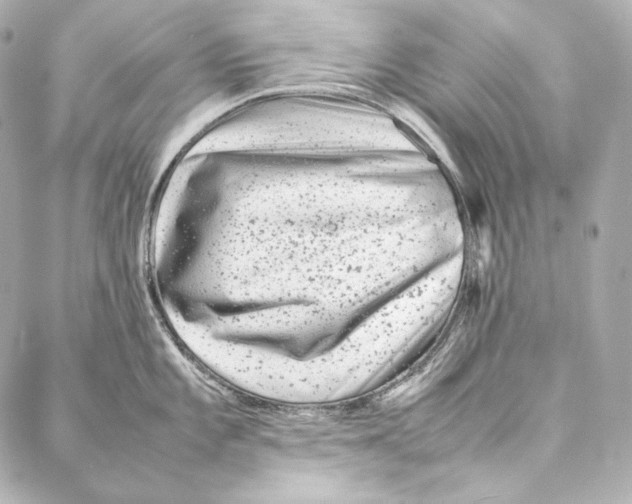 X0000086971101200705141644