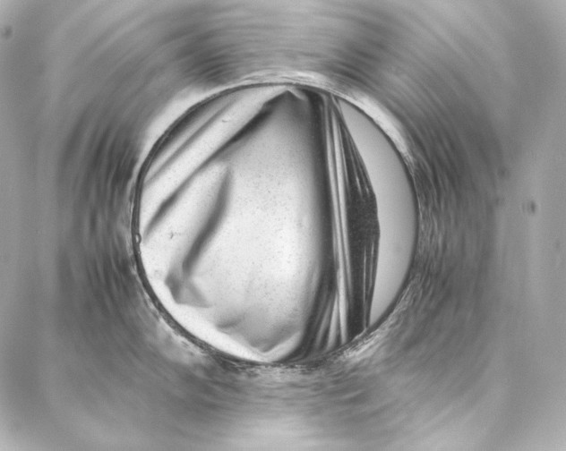 X0000086971102200705141644