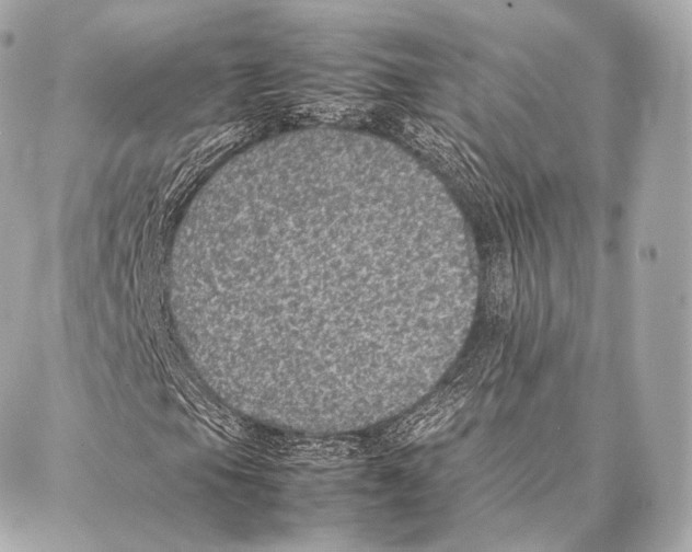 X0000086971105200705141644