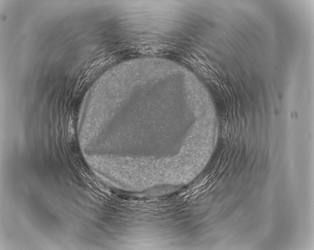 X0000086971106200705141644