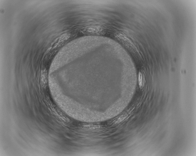 X0000086971107200705141644