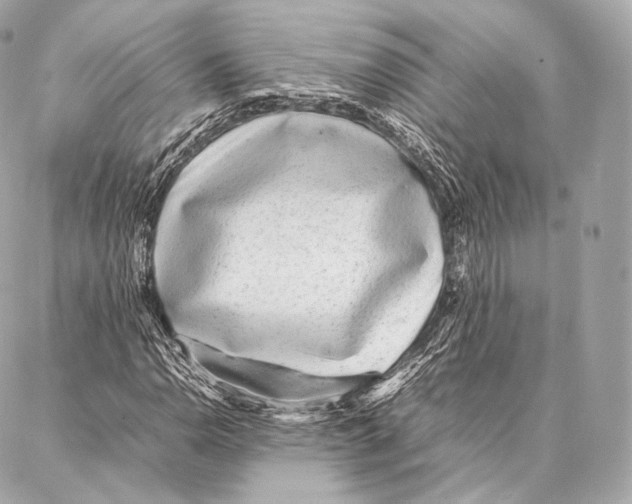 X0000086971110200705141644