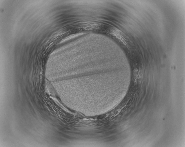 X0000086971111200705141644