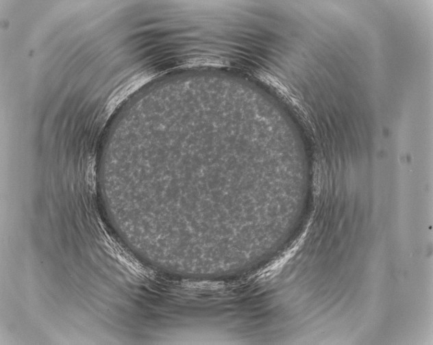 X0000086971113200705141644