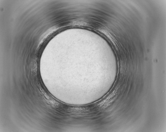 X0000086971115200705141644