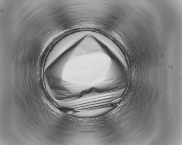 X0000086971116200705141644