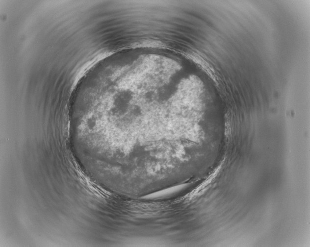 X0000086971117200705141644