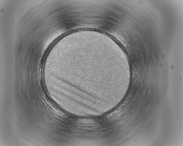 X0000086971119200705141644