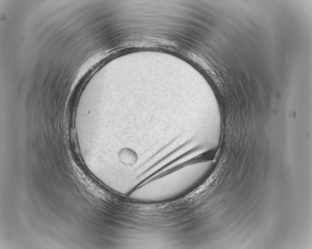 X0000086971122200705141644