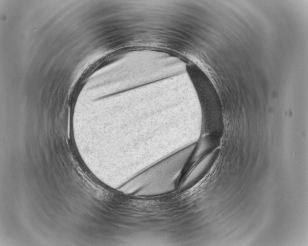 X0000086971123200705141644