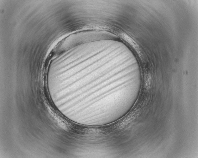 X0000086971124200705141644