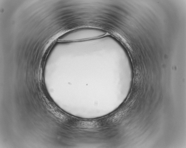 X0000086971125200705141644