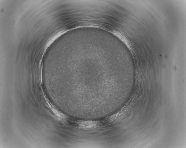 X0000086971127200705141644