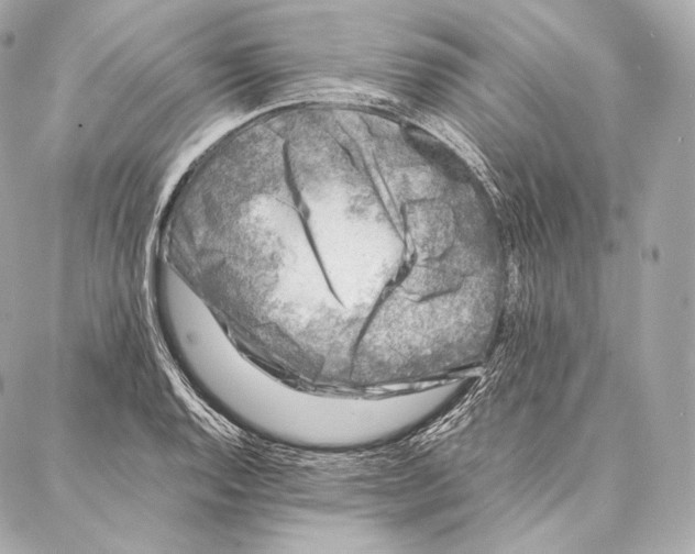 X0000086971128200705141644