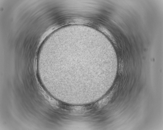 X0000086971130200705141644