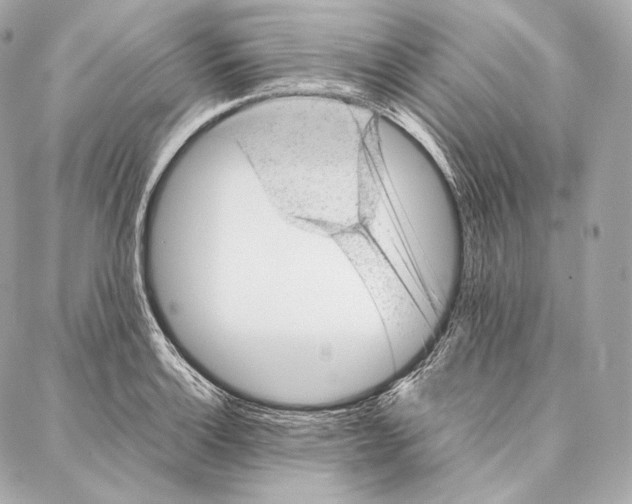 X0000086971132200705141644