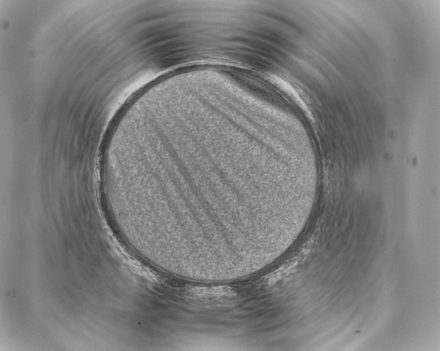 X0000086971133200705141644