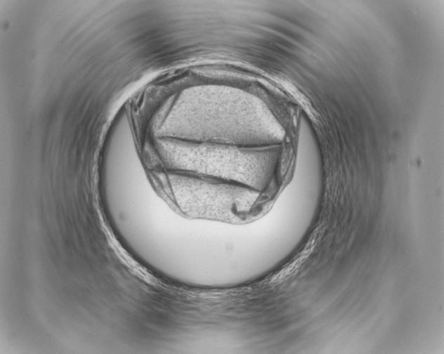 X0000086971134200705141644