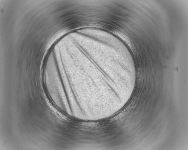 X0000086971135200705141644