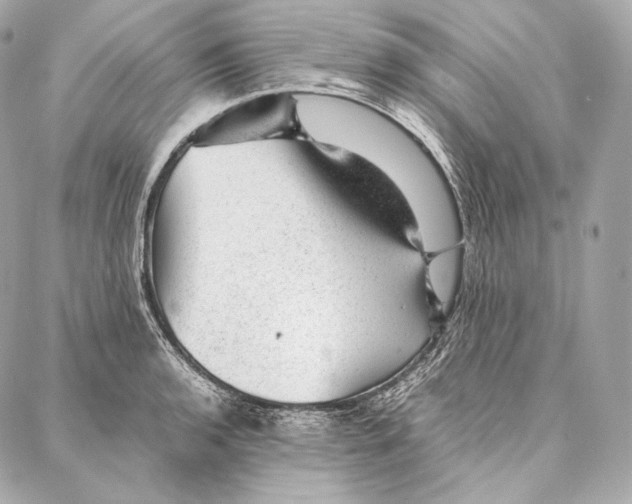 X0000086971136200705141644