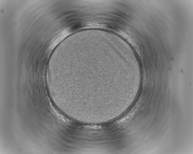 X0000086971137200705141644