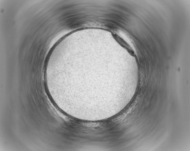 X0000086971141200705141644